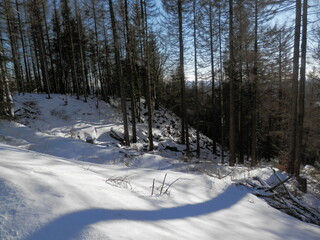 Eine Wanderung von Braunlage zum Wurmberg im Winter
