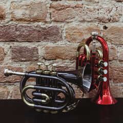 Two small horns, packet trumpets