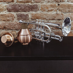 Silver cornet (trumpet) and cup mute