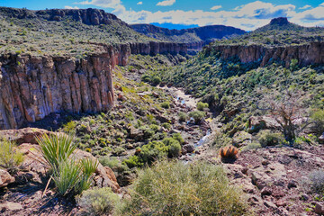 Canyon with river and desert vegetation along the Monolith Garden Trail in the Mojave Desert near...