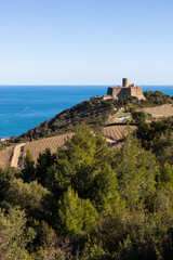 Naklejka premium Vue sur le Fort Saint-Elme et la Côte Vermeille depuis les terres (Occitanie, France)