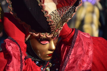 Carnevale di Venezia - 489738553