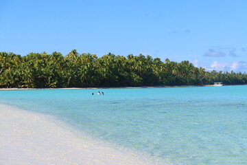 beach with water in a island Tetiaroa from French Polynesia 