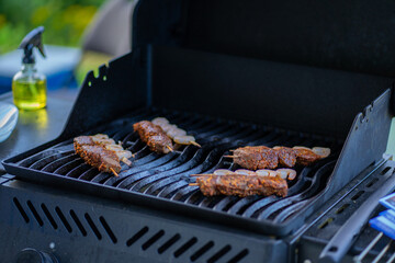 Meat on the grill