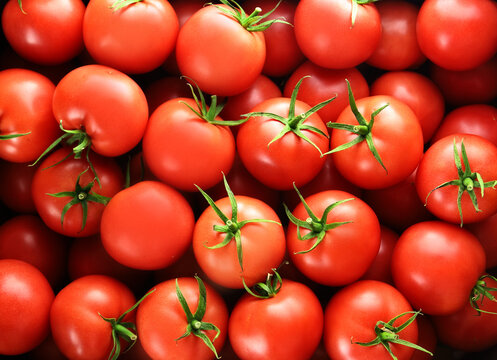 background with juicy and red tomatoes