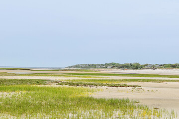 Fototapeta premium Cape Cod Beach