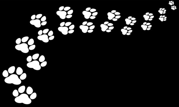 path and trail of white footprints on black background of dogs walking away,animal footprint pattern, footprint silhouette, puppy, cards, patterns	