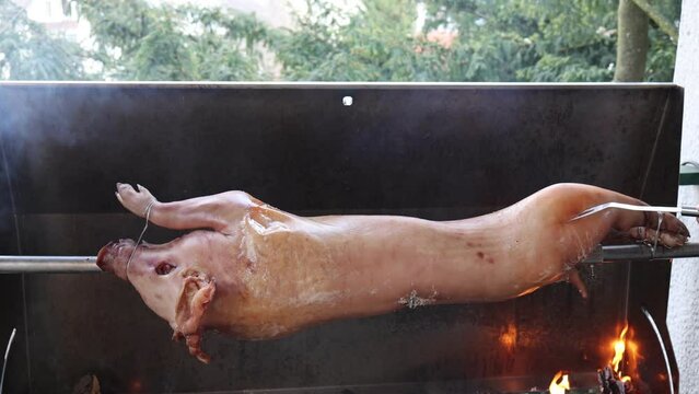 Pig is being grilled slowly on spit in traditional way
