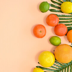 Summer tropic arrangement with palm leaves and fresh organic citurs fruits on beibe gackground....