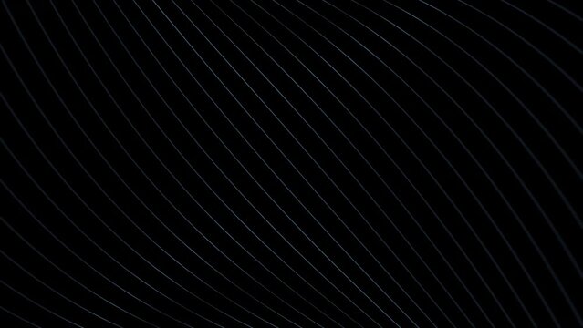 Black and white abstract curvy lines pattern seamless loop copy space background animation.