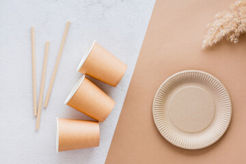 The concept of eco-friendly utensils for food. A cardboard plate, cups, drinking straws and an ear of grass on a two-tone background. Top view.