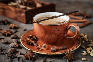Chai tea masala with spices, warming beverage - obrazy, fototapety, plakaty