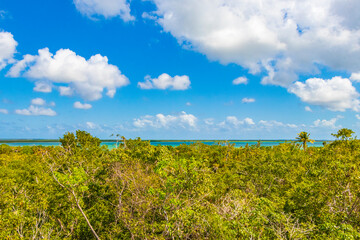 Fototapeta na wymiar Muyil Lagoon panorama view in tropical jungle Mexico.
