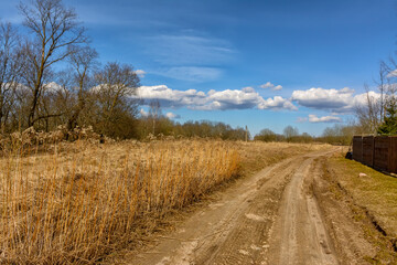 Bright sunny spring day in the countryside.
