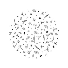 Doodle microgreen circle frame sketch for decorative design. Vector greens hand drawn illustration. Set collection. Vintage, retro style.