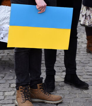 Demonstrant mit Ukraine-Schild in der Hand 