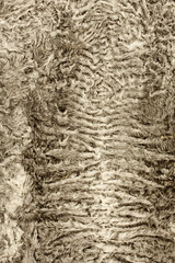 Textur Fell und Pelz.