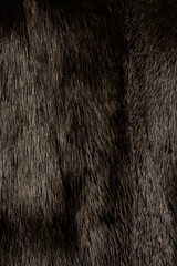 Textur Fell und Pelz.