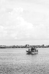 sailors