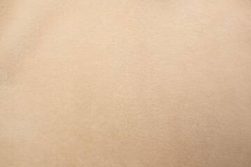 Textur Fell und Pelz.