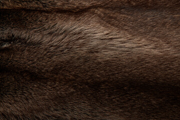 Textur Fell und Pelz.