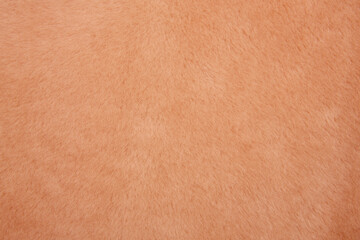 Textur Fell und Pelz.