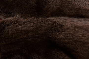 Textur Fell und Pelz.