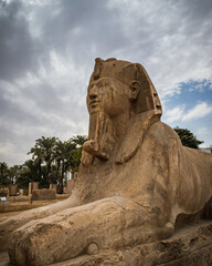 Fototapeta premium Great Sphinx of Memphis