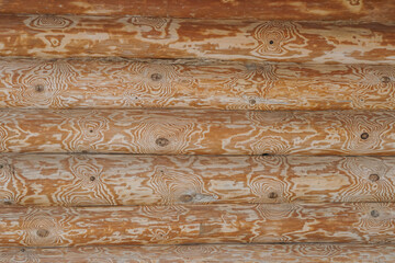 Wooden log background. Wooden wall made of logs with a beautiful texture as a background.