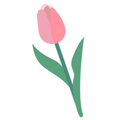 チューリップの花イラスト素材