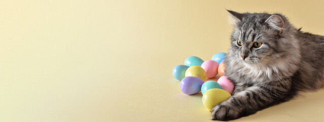 A banner with a cat that lies next to scattered Easter eggs. A postcard for Easter
