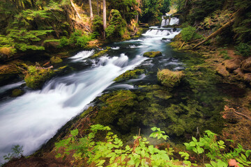 Obraz premium McKenzie River steps