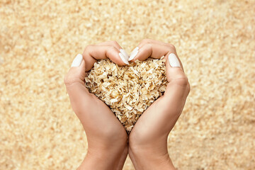 beautiful female hands, in the shape of a heart, carefully, lovingly hold a handful of wooden sawdust on a blurred background with a lot of sawdust. concern for nature. Protecting trees. ecology. warm - obrazy, fototapety, plakaty