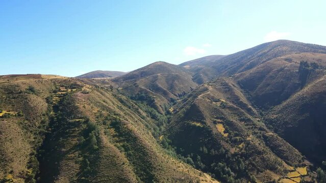 The best of Peru: Bosque De Puyas Raimondi in Ayacucho - Vilcas Huam&aacute;n