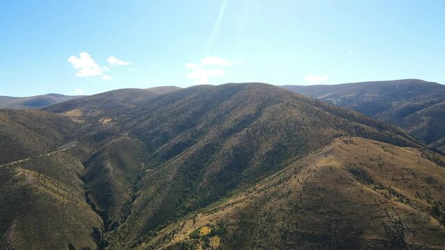 The best of Peru: Bosque De Puyas Raimondi in Ayacucho - Vilcas Huam&aacute;n