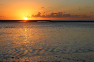 Fototapeta premium beautifull sunset