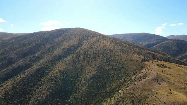 The best of Peru: Bosque De Puyas Raimondi in Ayacucho - Vilcas Huam&aacute;n