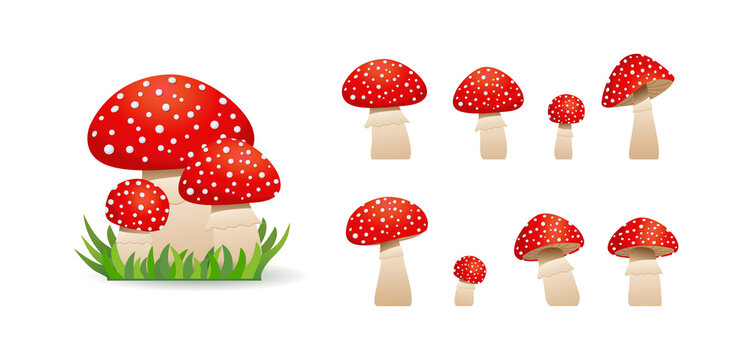 Big set mushrooms toadstool cute. Inedible mushrooms. Vector illustration