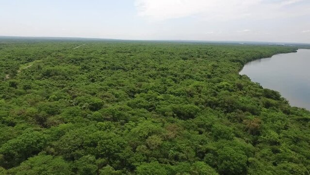 Imagem a&eacute;rea de drone sobre mata fechada com grande rio de &aacute;gua doce e estrada cortando a paisagem de natureza
