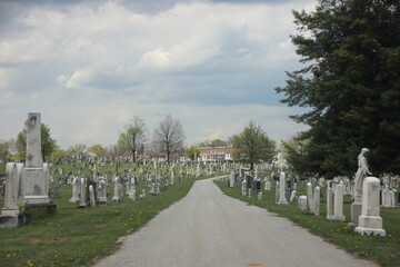 military cemetery in region