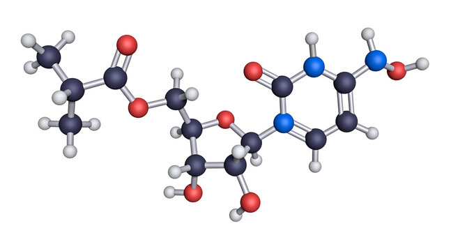 Molnupiravir is a medication for Covid-19. The molecule is a prodrug for a derivative of the nucleoside cytidine. The enzyme RNA polymerase incorporates the analog into viral RNA in place of cytidine.