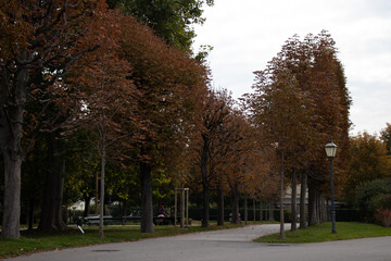 Autumn in the park