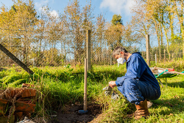 gardener looking at the work area for planting a magnolia tree