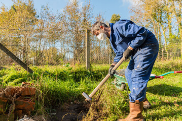 gardener work for plant a magnolia tree