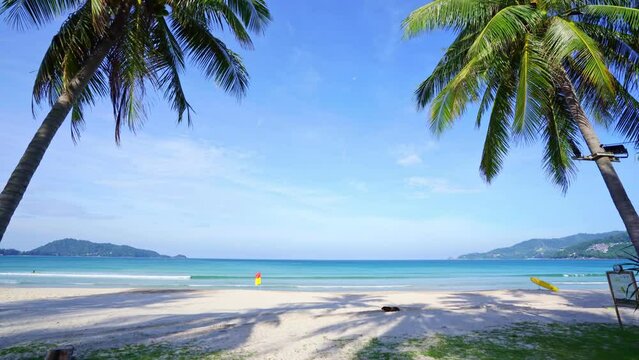 Beautiful coconut palm trees on the beach Phuket Thailand Patong beach Islands Palms leafs Palms grove on beach with white sandy seashore sky Summer landscape amazing background