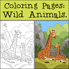 Coloring Pages: Wild Animals. Mother giraffe lays with her little cute baby giraffe. They smile.