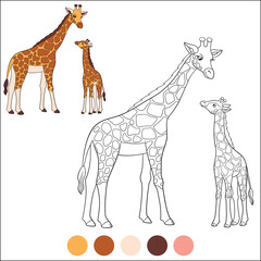 Color me: wild animals. Mother giraffe stands with her little cute baby and smiles.