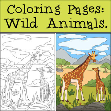 Coloring Pages: Wild Animals. Mother giraffe stands with her little cute baby giraffe. They smile.