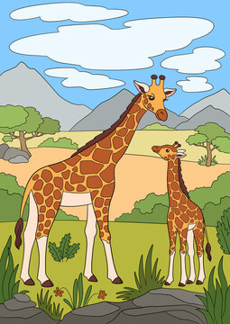 Cartoon wild animals. Mother giraffe with her little cute baby giraffe. They smile.