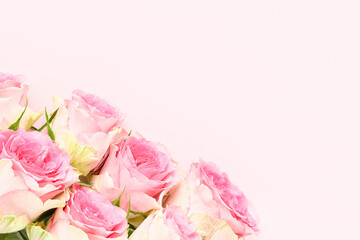 Bunch of pink roses on a pink background. Mother's day, Valentines Day, Birthday concept